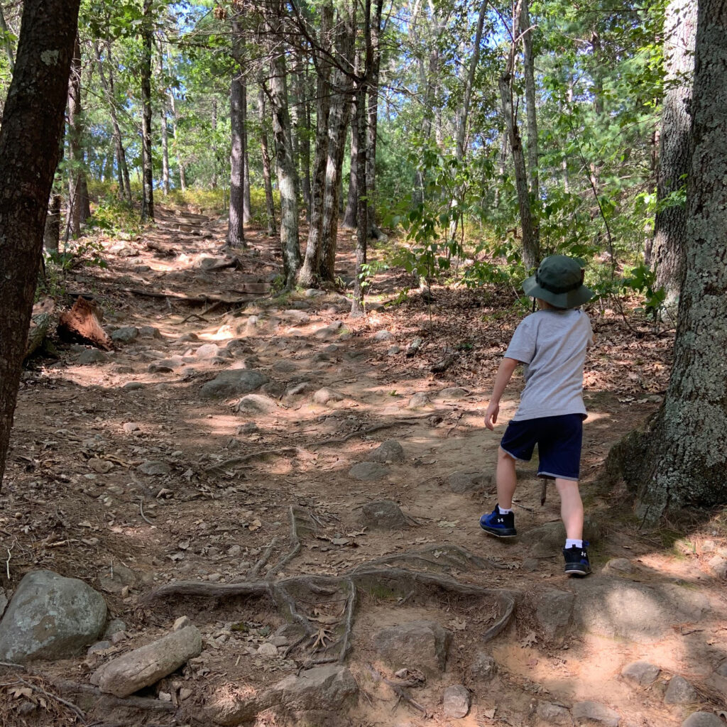 A boy geocaching
